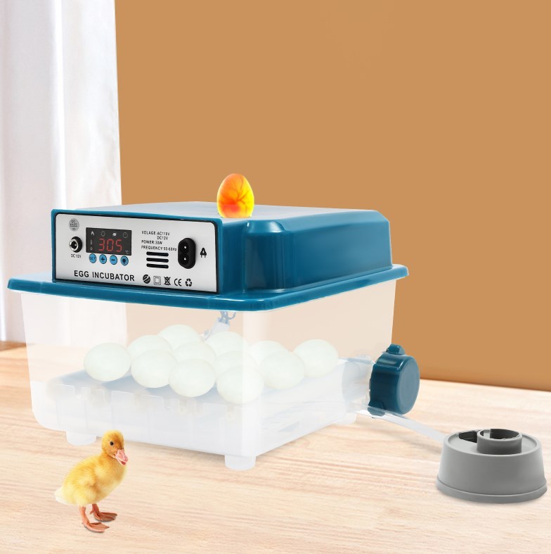 Incubatrice Uova Incubatrice Automatica MINRS Per 20 Uova - Controllo Temperatura E Umidità Per Polli, Quaglie Attrezzatura Avicoltura - 3
