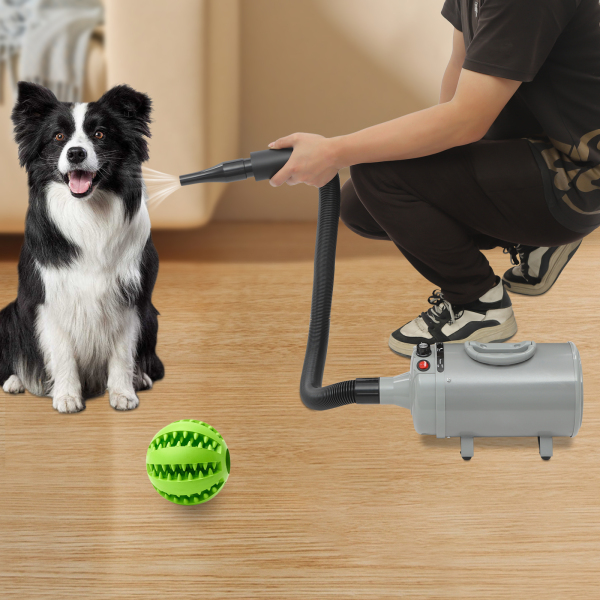 Asciugacapelli per capelli, asciugacapelli per gatti elettrici, asciugatura per animali domestici con 4 ugelli - grigio Asciugacapelli per capelli, asciugacapelli per gatti elettrici, asciugatura per animali domestici con 4 ugelli - grigio