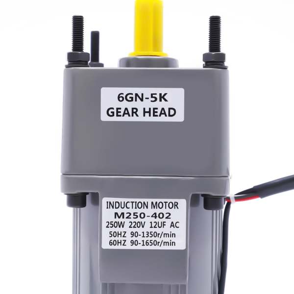 Coppia di motoriduttore regolabile AC 220 V 250 W motore con velocità di rotazione regolabile, motore convertitore di frequenza regolabile in modo continuo con regolatore di trasmissione e supporto (5 Coppia di motoriduttore regolabile AC 220 V 250 W motore con velocità di rotazione regolabile, motore convertitore di frequenza regolabile in modo continuo con regolatore di trasmissione e supporto (5