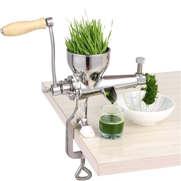 Spremiagrumi manuale in acciaio inox, spremiagrumi per frutta e verdura, filtro rapido per frutta, verdura, zenzero, melograno