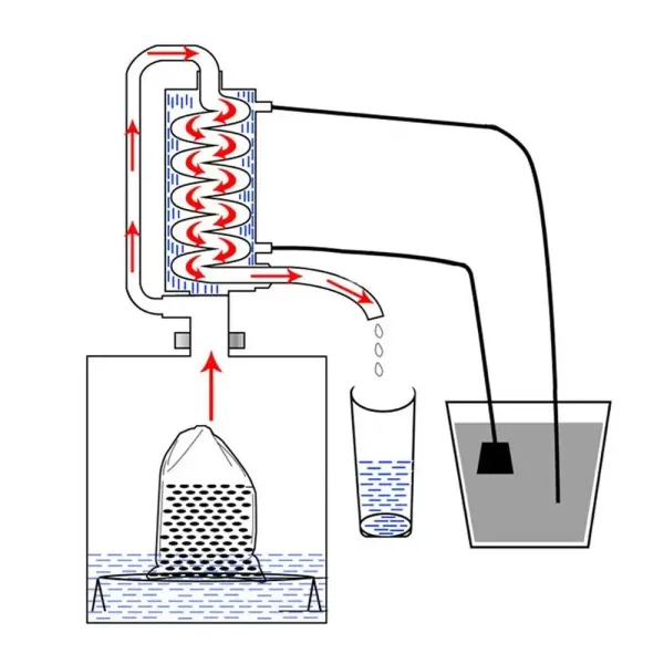 12L Vino Acquavite Alcol Distillare Alambicco Acciaio Inox Essenziale